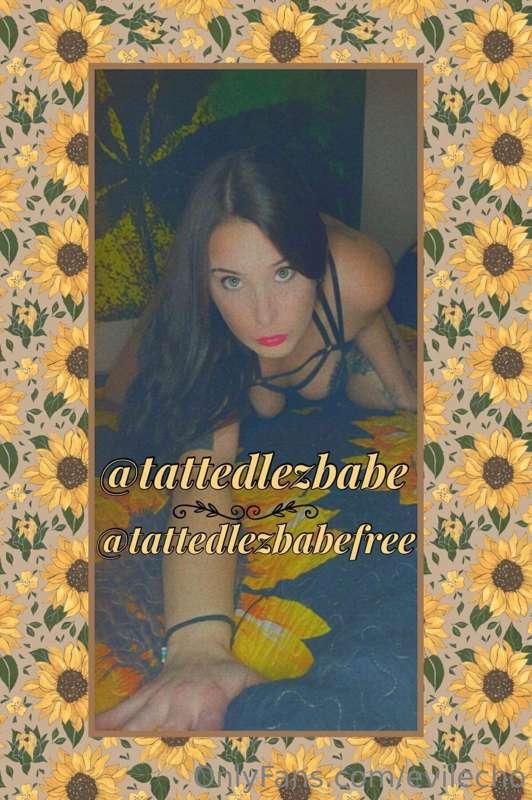 #AD ❌⚠️
**FREE** 🌈 @tattedlezbabefree 🌈
**PAID** 🔞 @tattedle..
