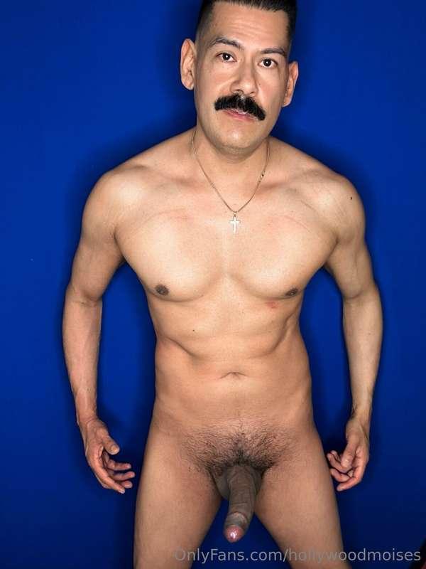 hollywoodmoises image #1