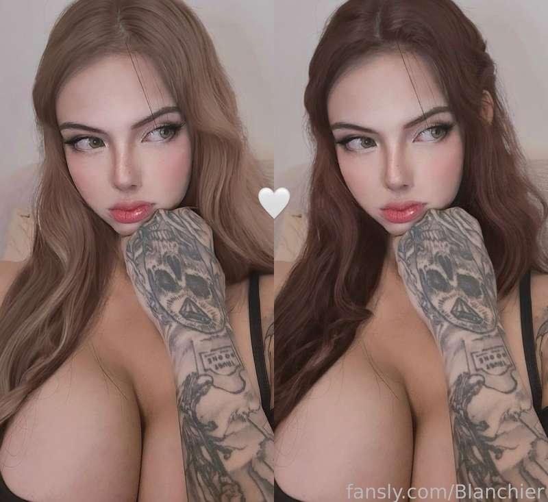 impartialbunny image #1