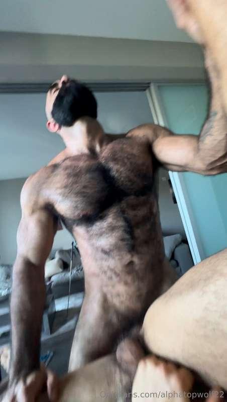 alphatopwolf22 image #24