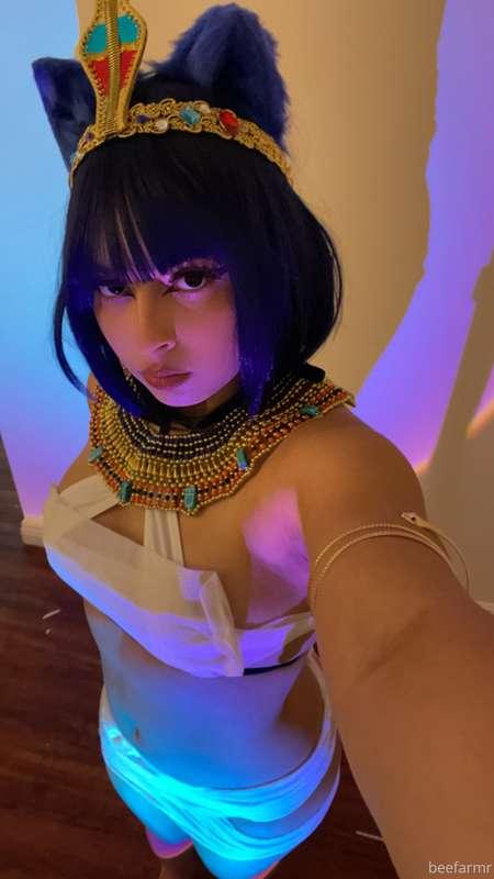 Do yall want the ankha or misa set? I'm leaning towards ankh..