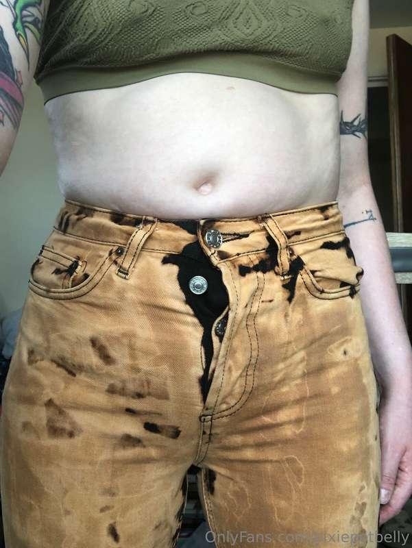 pixiepotbelly image #2