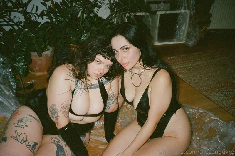 thesanguine image #1
