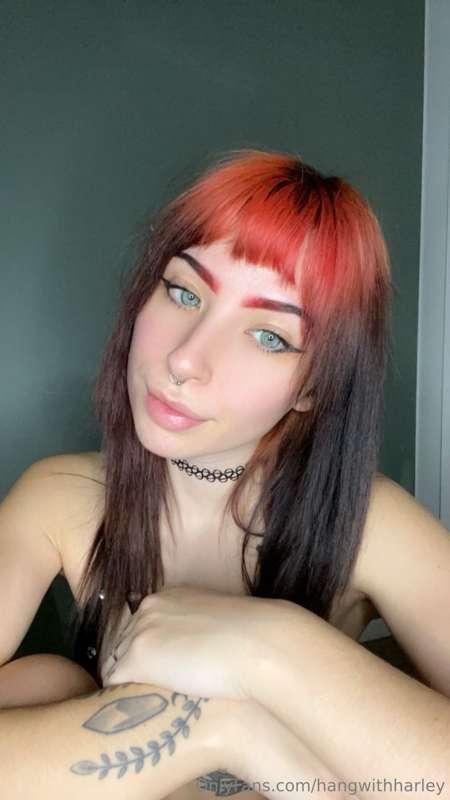 Should I go live today??