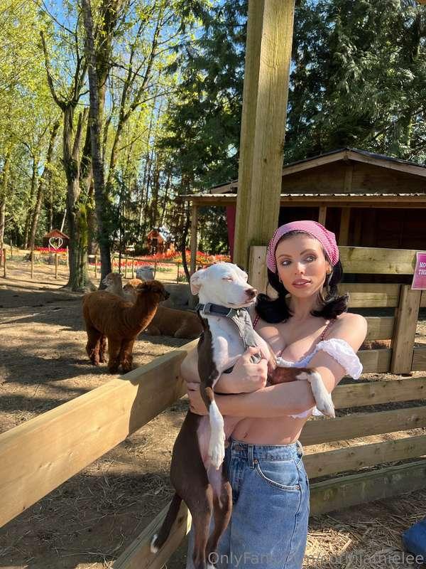 Doggy is chilling. Think he found his fav spot 