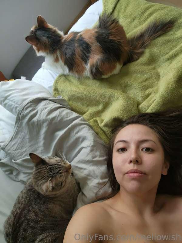 mellowish image #1