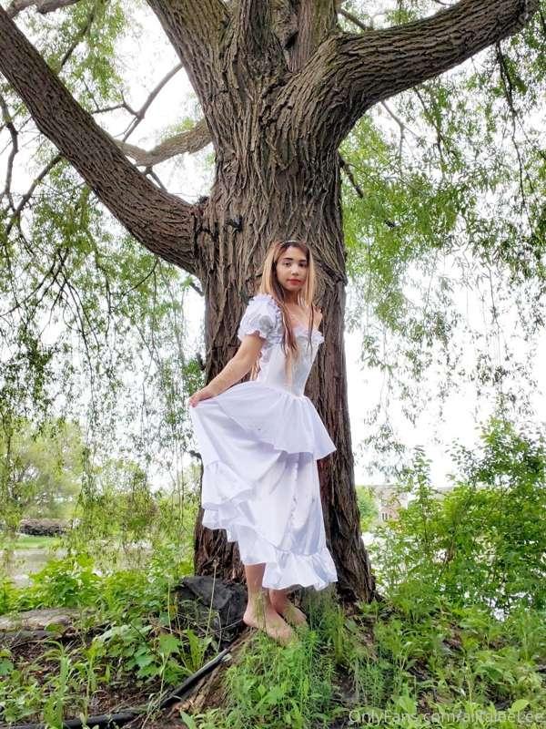 alitaleelee image #1