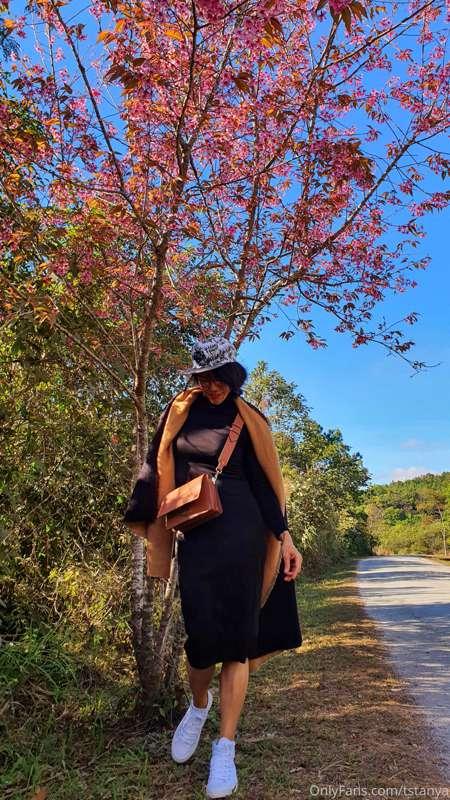 I like winter season,but in Thailand is not long  cold