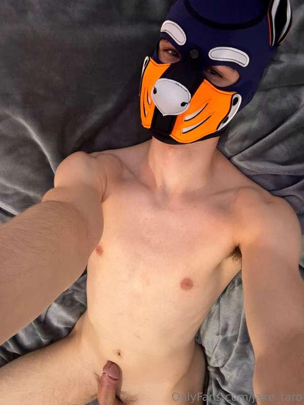 jake_taro main image