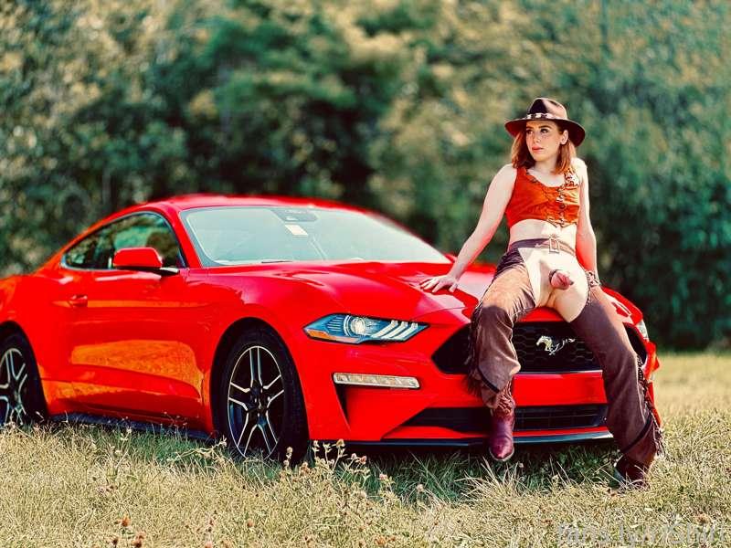 shiriallwood image #2