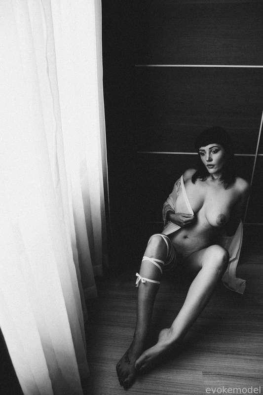 evokemodel image #13