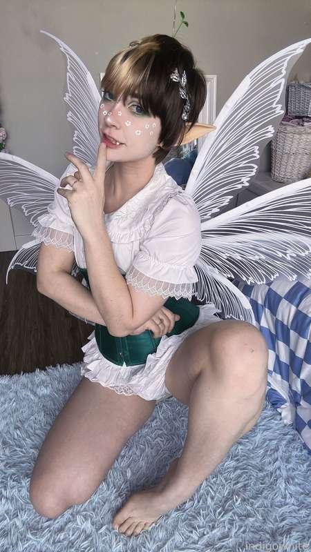 indigowhite image #425