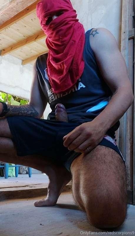 redscorpions9 image #0