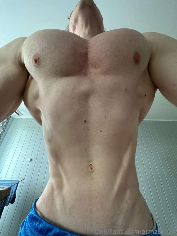 Giant pecs above you!