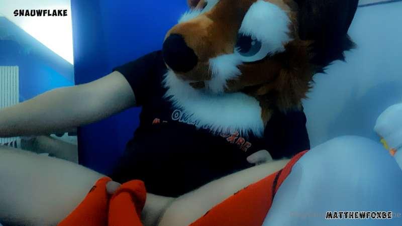 matthewfoxbe image #7