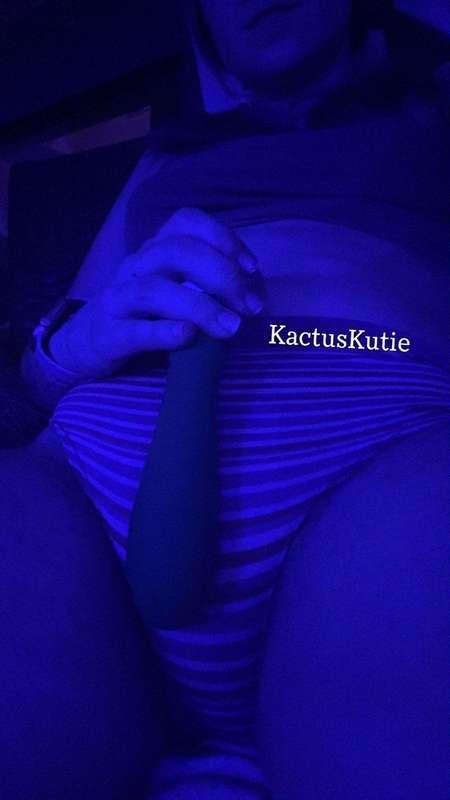 kactuskutie image #0