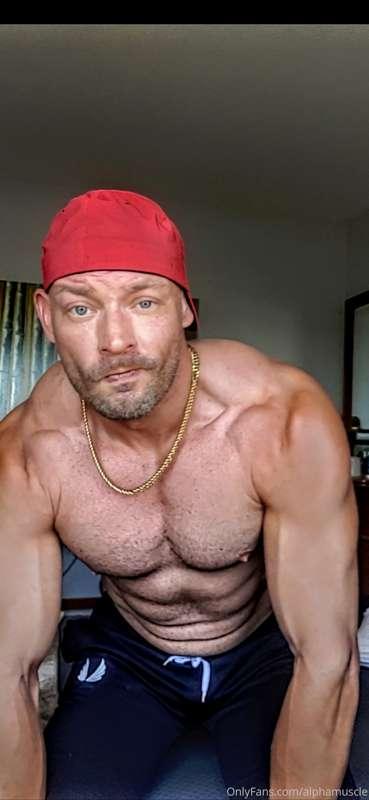 alphamuscle image #2