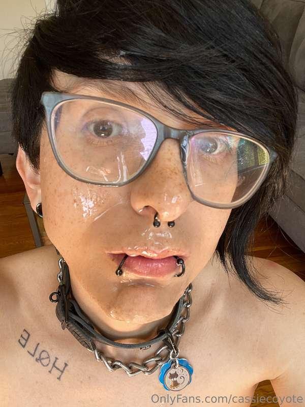 cassiecoyote image #0