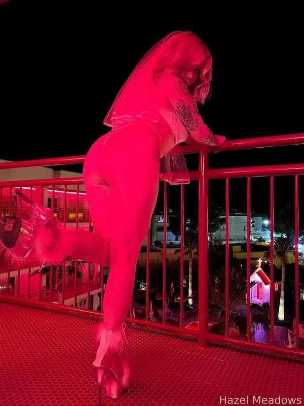 hazelmeadows image #3