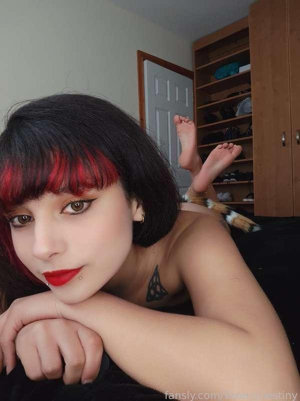 vixensdestiny image #3