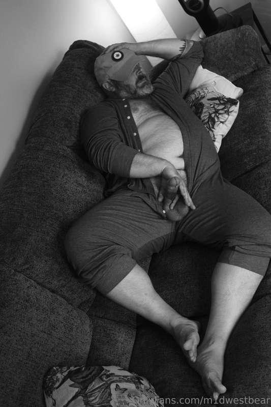 m1dwestbear image #5