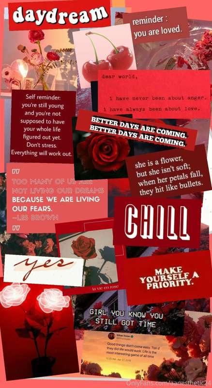 aanesthetic24 image #5