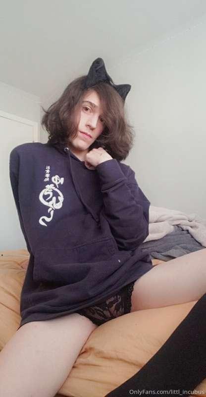 Return of the catboy ^w^