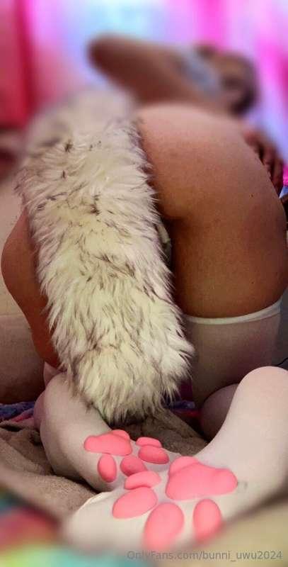 bunni_uwu2024 image #0