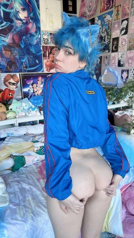 indigowhite image #179