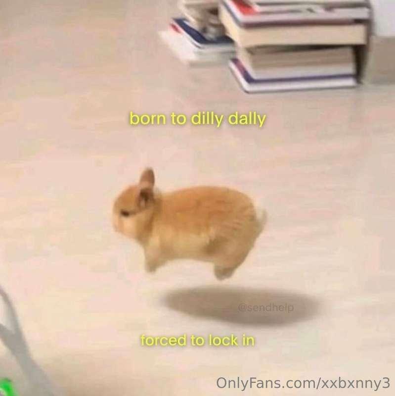 Me af 🐰