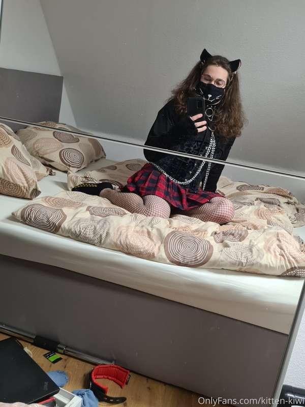 kitten-kiwi image #0