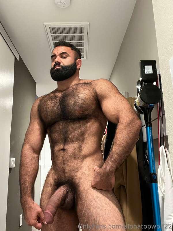 alphatopwolf22 image #1