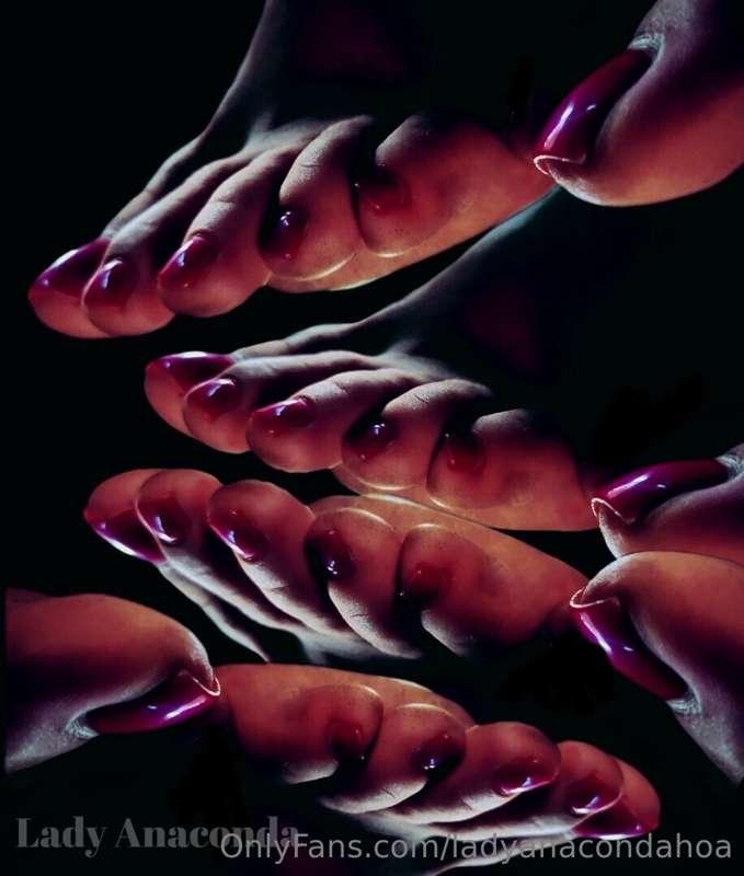 ladyanacondahoa image #0