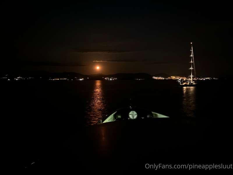 pineapplesluut image #4