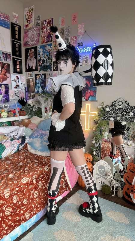 indigowhite image #94