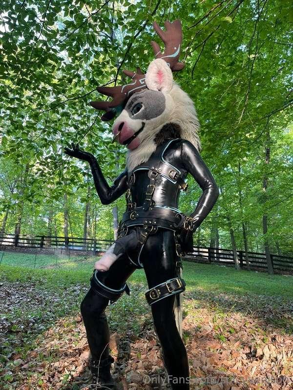 Enjoying easy pastures~