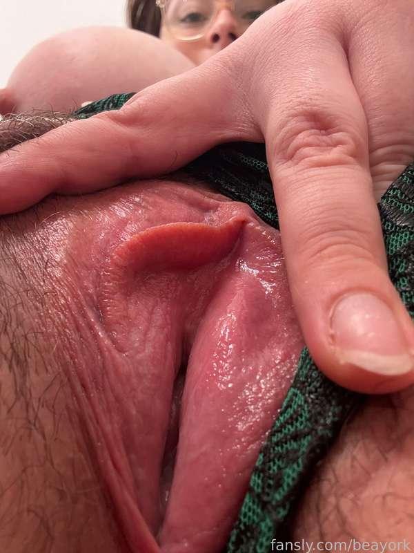 beayork image #12