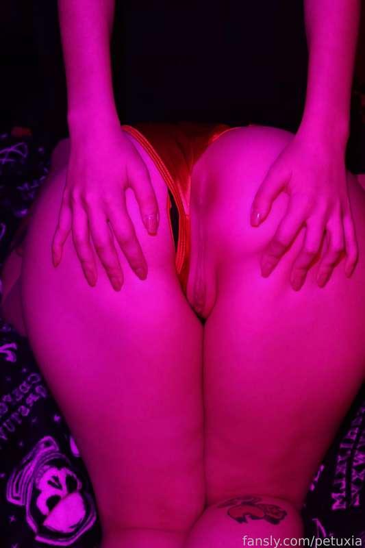petuxia image #40