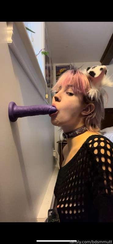 bdsmmutt image #0