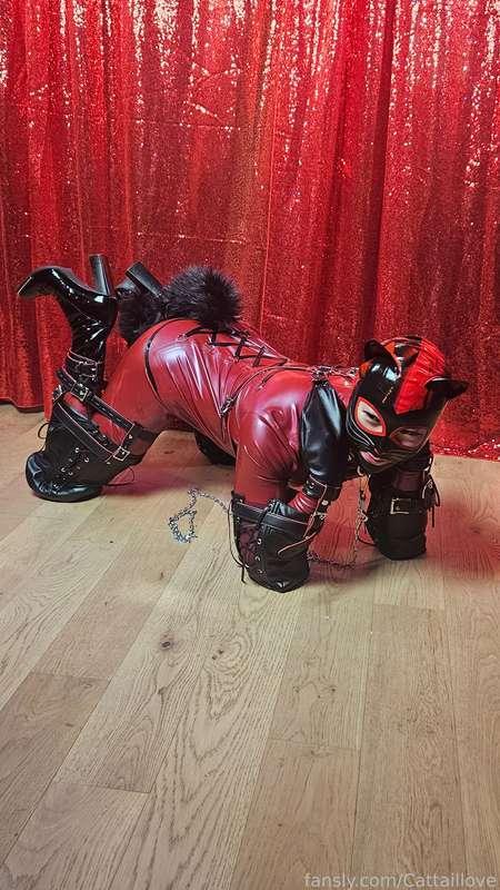 cattaillove image #8