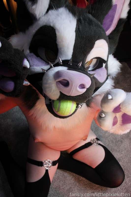 littlepixiekitten image #15