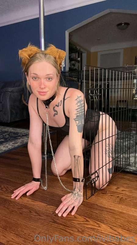 ivibabes image #7