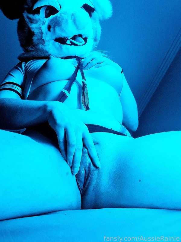 aussierainie image #1