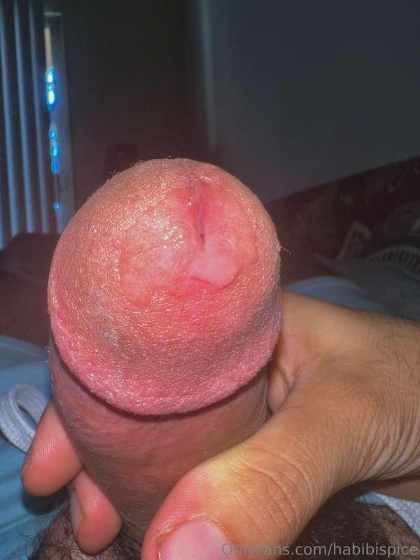 habibispice image #0