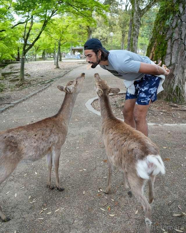 what can I say, they love me!