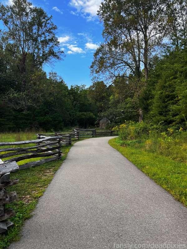 deadpixies image #22