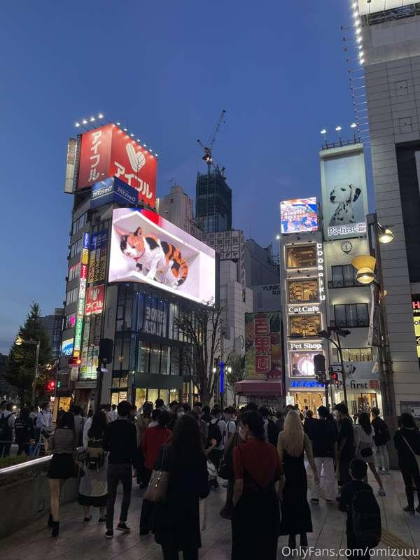 went to Shinjuku today🎊 
I didn't know the giant cat was sti..