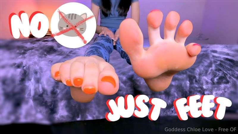 Beta Mindfxck – No Pussy, Just Worship 🚫🐱🦶🏻🛐✨ This time, I’m..