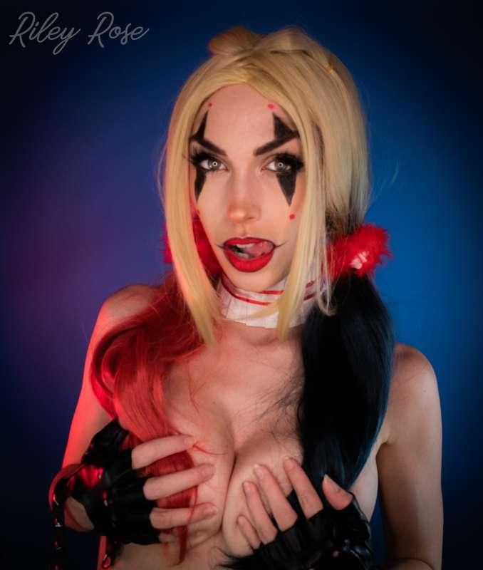 Last Harley Quinn Pics