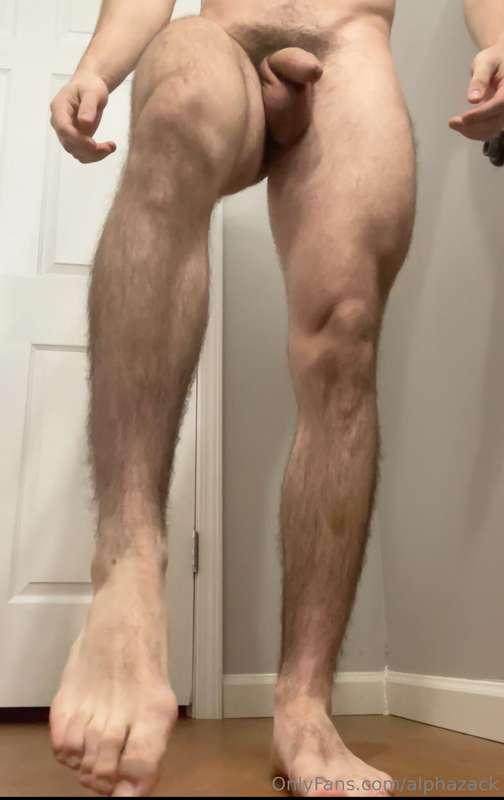 alphazack image #2